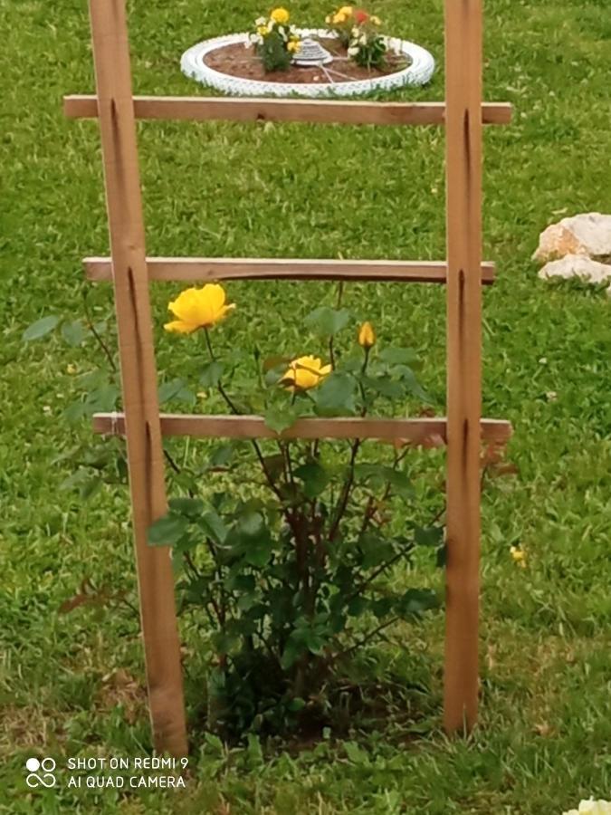Yellow Rose Rakovica Exteriér fotografie